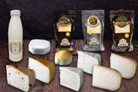 Sajtok, tejtermékek